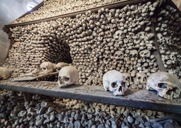 گردشگری سیاه