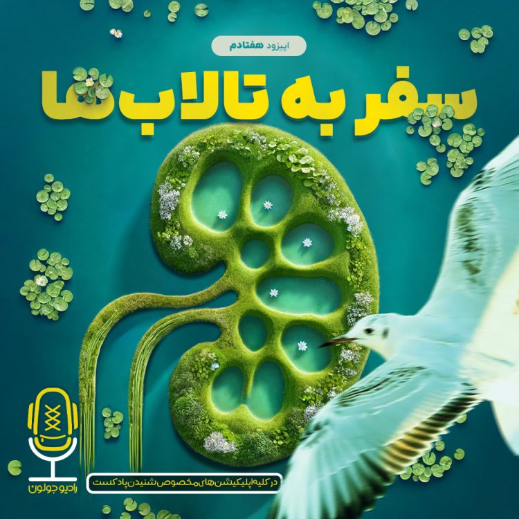 Cover 70
